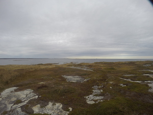 Photograph of Pinchard's Island, Newfoundland — October 18, 2017 at 2:58 PM