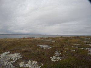Photograph of Pinchard's Island, Newfoundland — October 18, 2017 at 4:38 PM