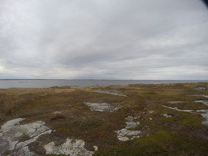 Photograph of Pinchard's Island, Newfoundland — October 18, 2017 at 4:58 PM