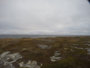 Photograph of Pinchard's Island, Newfoundland — October 19, 2017 at 8:58 AM
