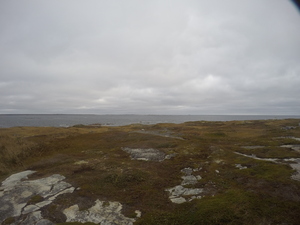 Photograph of Pinchard's Island, Newfoundland — October 19, 2017 at 9:58 AM