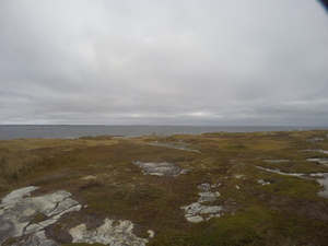 Photograph of Pinchard's Island, Newfoundland — October 19, 2017 at 10:58 AM
