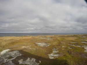 Photograph of Pinchard's Island, Newfoundland — October 19, 2017 at 11:58 AM