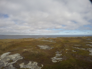 Photograph of Pinchard's Island, Newfoundland — October 19, 2017 at 12:58 PM