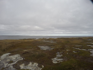Photograph of Pinchard's Island, Newfoundland — October 19, 2017 at 1:58 PM