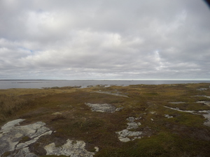 Photograph of Pinchard's Island, Newfoundland — October 19, 2017 at 2:58 PM