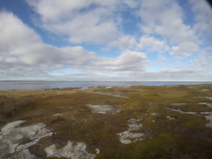 Photograph of Pinchard's Island, Newfoundland — October 19, 2017 at 3:58 PM