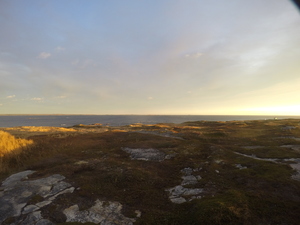 Photograph of Pinchard's Island, Newfoundland — October 20, 2017 at 7:58 AM