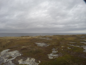 Photograph of Pinchard's Island, Newfoundland — October 20, 2017 at 11:41 AM