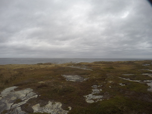 Photograph of Pinchard's Island, Newfoundland — October 20, 2017 at 11:51 AM