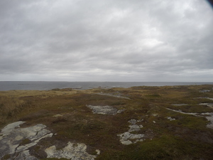 Photograph of Pinchard's Island, Newfoundland — October 20, 2017 at 11:54 AM