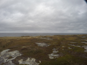 Photograph of Pinchard's Island, Newfoundland — October 20, 2017 at 11:58 AM
