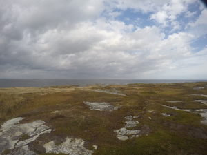Photograph of Pinchard's Island, Newfoundland — October 20, 2017 at 1:45 PM