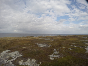 Photograph of Pinchard's Island, Newfoundland — October 20, 2017 at 2:01 PM
