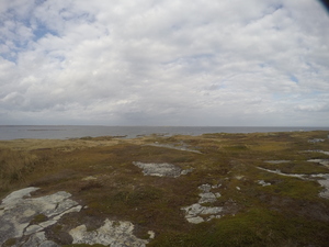 Photograph of Pinchard's Island, Newfoundland — October 20, 2017 at 2:05 PM