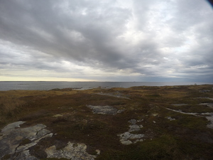 Photograph of Pinchard's Island, Newfoundland — October 20, 2017 at 5:07 PM