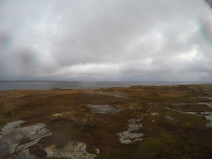 Photograph of Pinchard's Island, Newfoundland — October 21, 2017 at 7:58 AM