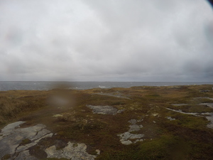 Photograph of Pinchard's Island, Newfoundland — October 21, 2017 at 8:58 AM