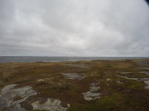 Photograph of Pinchard's Island, Newfoundland — October 21, 2017 at 9:58 AM