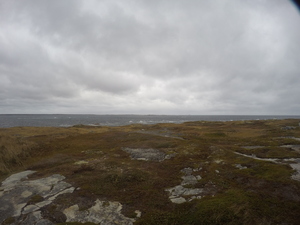 Photograph of Pinchard's Island, Newfoundland — October 21, 2017 at 10:58 AM