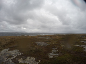 Photograph of Pinchard's Island, Newfoundland — October 21, 2017 at 11:58 AM