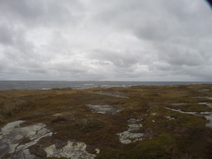 Photograph of Pinchard's Island, Newfoundland — October 21, 2017 at 1:58 PM