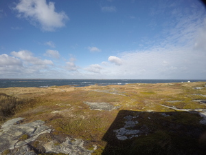 Photograph of Pinchard's Island, Newfoundland — October 21, 2017 at 2:58 PM