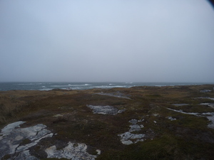 Photograph of Pinchard's Island, Newfoundland — October 22, 2017 at 7:58 AM