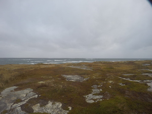 Photograph of Pinchard's Island, Newfoundland — October 22, 2017 at 8:58 AM