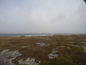Photograph of Pinchard's Island, Newfoundland — October 22, 2017 at 9:58 AM