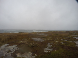 Photograph of Pinchard's Island, Newfoundland — October 22, 2017 at 11:58 AM