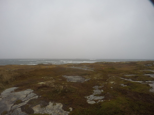 Photograph of Pinchard's Island, Newfoundland — October 22, 2017 at 12:58 PM