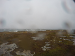 Photograph of Pinchard's Island, Newfoundland — October 22, 2017 at 1:58 PM