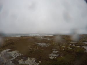 Photograph of Pinchard's Island, Newfoundland — October 22, 2017 at 2:58 PM