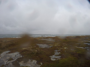 Photograph of Pinchard's Island, Newfoundland — October 22, 2017 at 3:58 PM