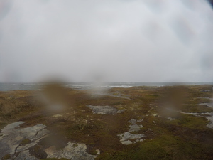 Photograph of Pinchard's Island, Newfoundland — October 22, 2017 at 4:58 PM