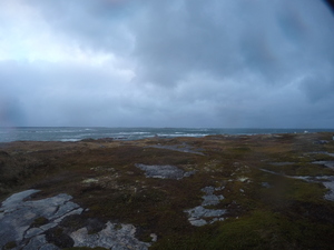 Photograph of Pinchard's Island, Newfoundland — October 22, 2017 at 5:58 PM