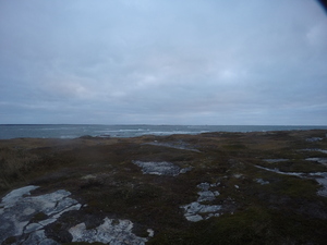 Photograph of Pinchard's Island, Newfoundland — October 23, 2017 at 7:58 AM