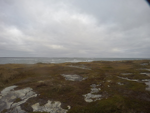 Photograph of Pinchard's Island, Newfoundland — October 23, 2017 at 8:58 AM