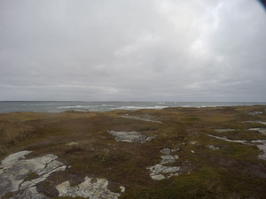Photograph of Pinchard's Island, Newfoundland — October 23, 2017 at 9:58 AM