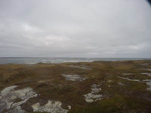 Photograph of Pinchard's Island, Newfoundland — October 23, 2017 at 10:58 AM