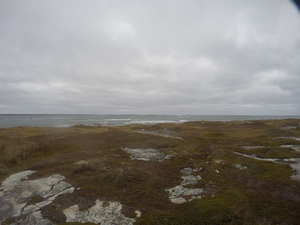 Photograph of Pinchard's Island, Newfoundland — October 23, 2017 at 11:58 AM