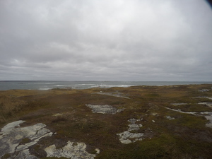 Photograph of Pinchard's Island, Newfoundland — October 23, 2017 at 12:58 PM