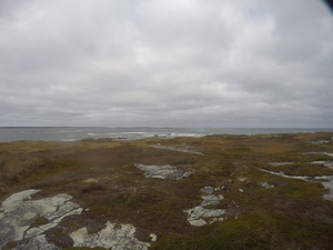 Photograph of Pinchard's Island, Newfoundland — October 23, 2017 at 1:58 PM