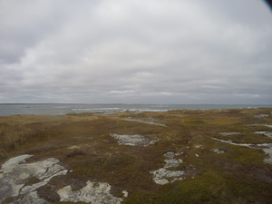 Photograph of Pinchard's Island, Newfoundland — October 23, 2017 at 2:58 PM