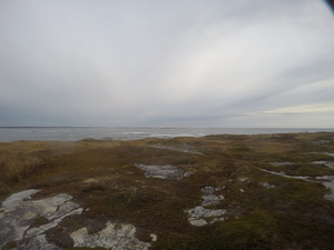 Photograph of Pinchard's Island, Newfoundland — October 24, 2017 at 8:58 AM