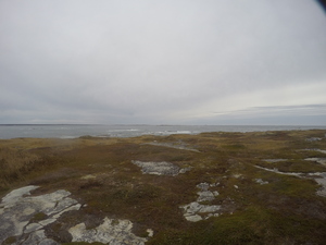 Photograph of Pinchard's Island, Newfoundland — October 24, 2017 at 9:58 AM
