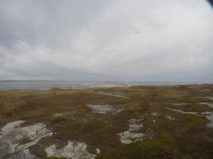 Photograph of Pinchard's Island, Newfoundland — October 24, 2017 at 10:58 AM