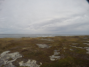 Photograph of Pinchard's Island, Newfoundland — October 24, 2017 at 11:58 AM