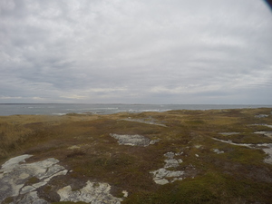 Photograph of Pinchard's Island, Newfoundland — October 24, 2017 at 12:58 PM
